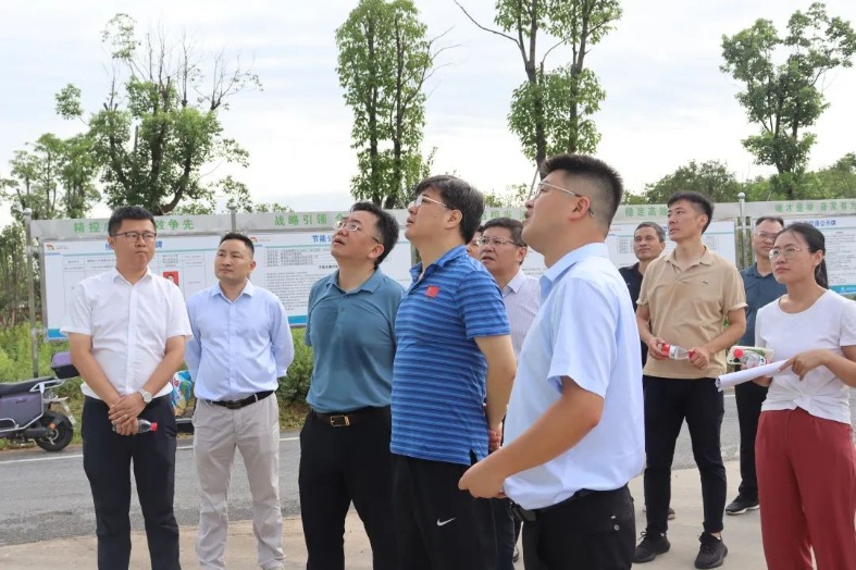 1697185599127541.jpg IMG_202310135988_787x524.jpg